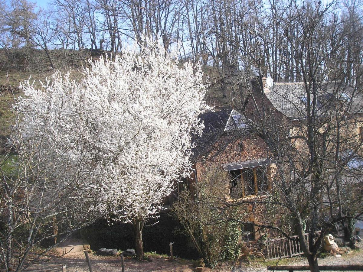 Grange Renovee En Pleine Nature Valady Exteriér fotografie