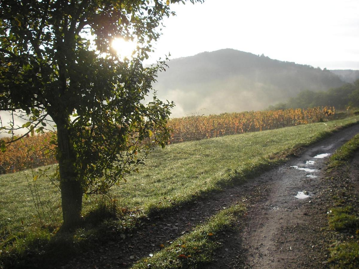 Grange Renovee En Pleine Nature Valady Exteriér fotografie